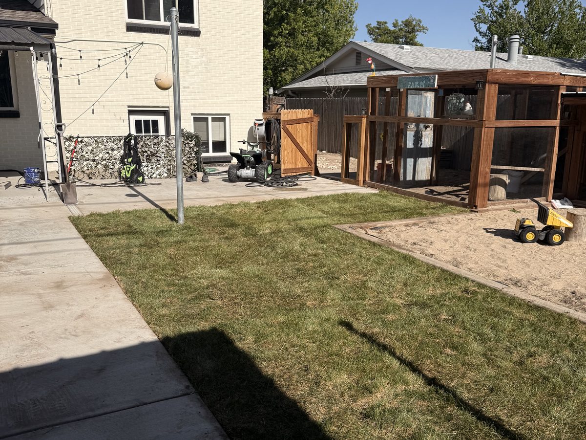 After: lush new sod lawn