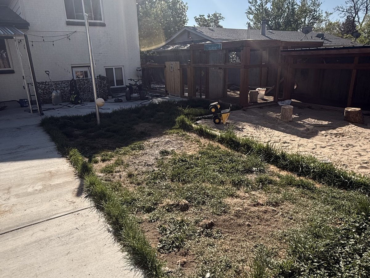 Before: bare, weedy backyard