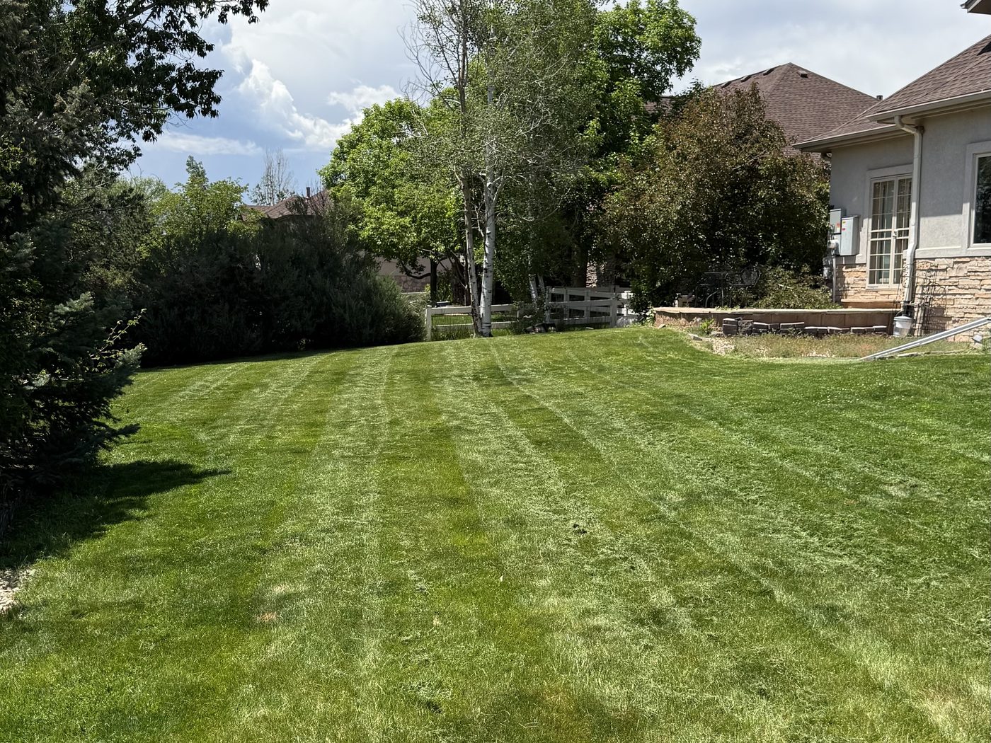 Freshly mowed striped lawn
