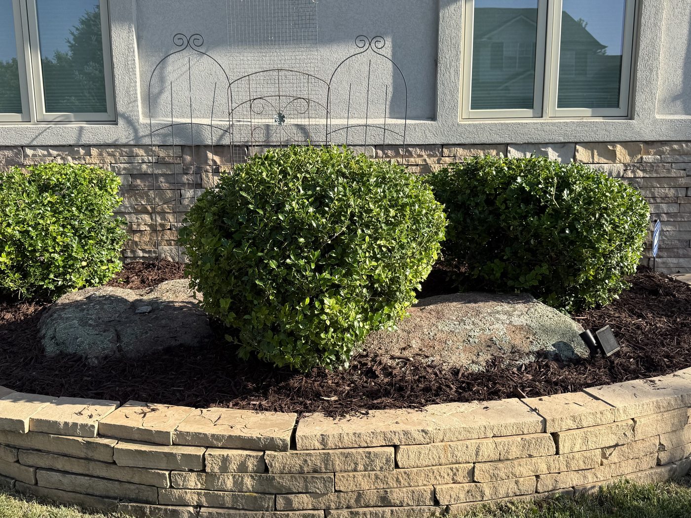 Neatly trimmed round shrubs along a stone wall