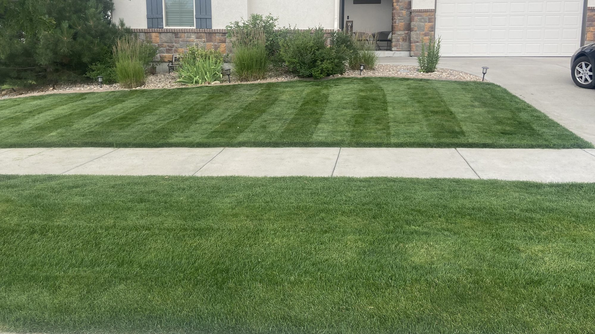 A manicured, freshly mowed lawn in Arvada, Colorado by True Trim Lawns